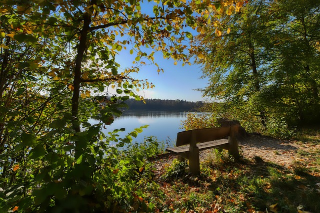 常常成为谈 常常成为谈