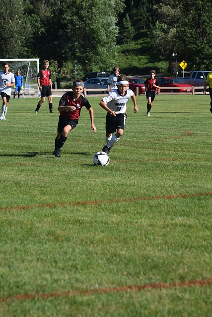 经典案例分 经典案例分