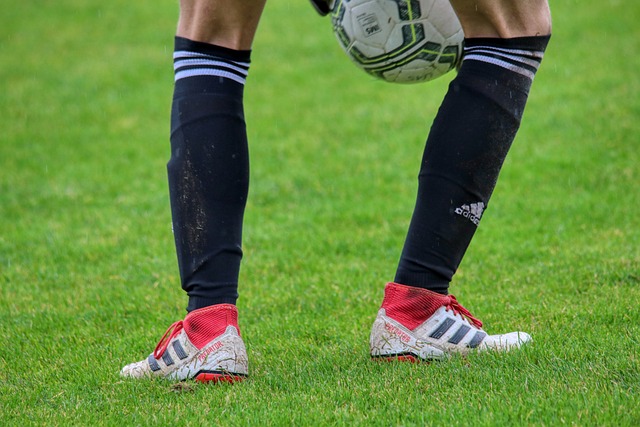 的心理素质 的心理素质