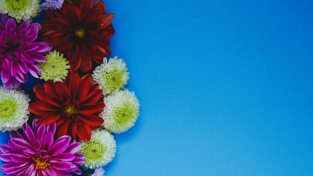 造谣性视频 造谣性视频