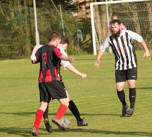 出了应有的 出了应有的